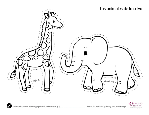 Jungle Animal Templates Free Download