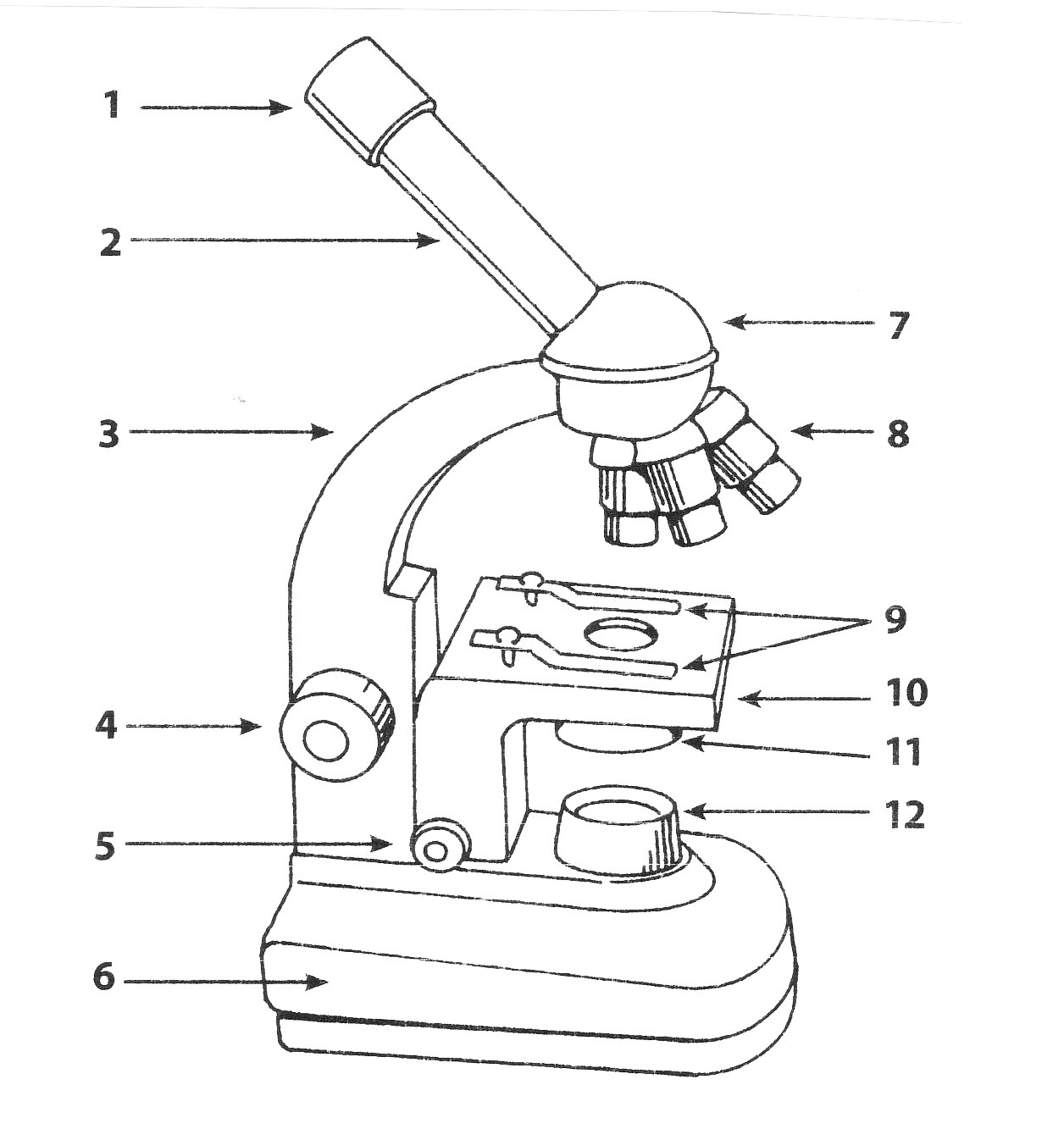 Parts Of A Microscope Worksheets Answers
