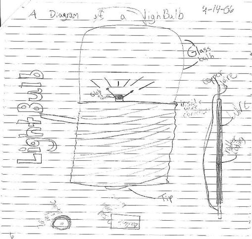 4th Grade Science Light Bulb Diagram Image