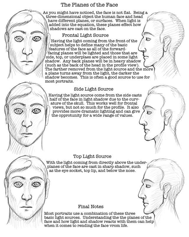 Facial Proportions Worksheet Image
