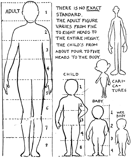Human Body Proportions Drawing Image
