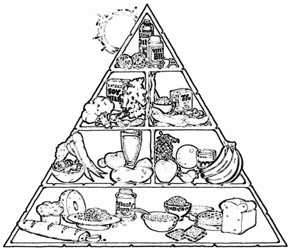 Printable Food Pyramid Coloring Pages Image
