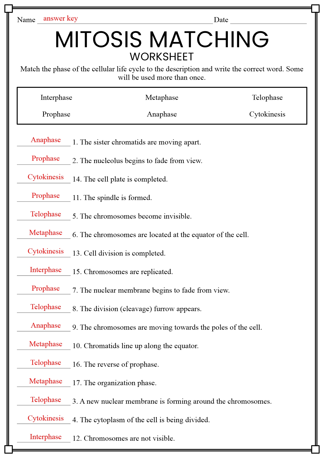 Mitosis and Meiosis Worksheet Answer Key
