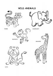 Wild Animal Worksheets Image