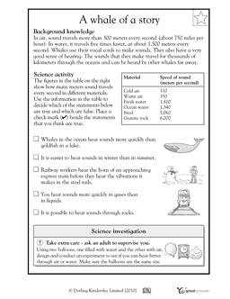 4th Grade Science Sound Worksheets