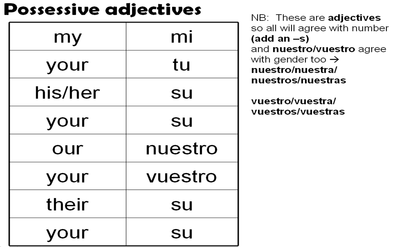 Stressed Possessive Adjectives Spanish Worksheet