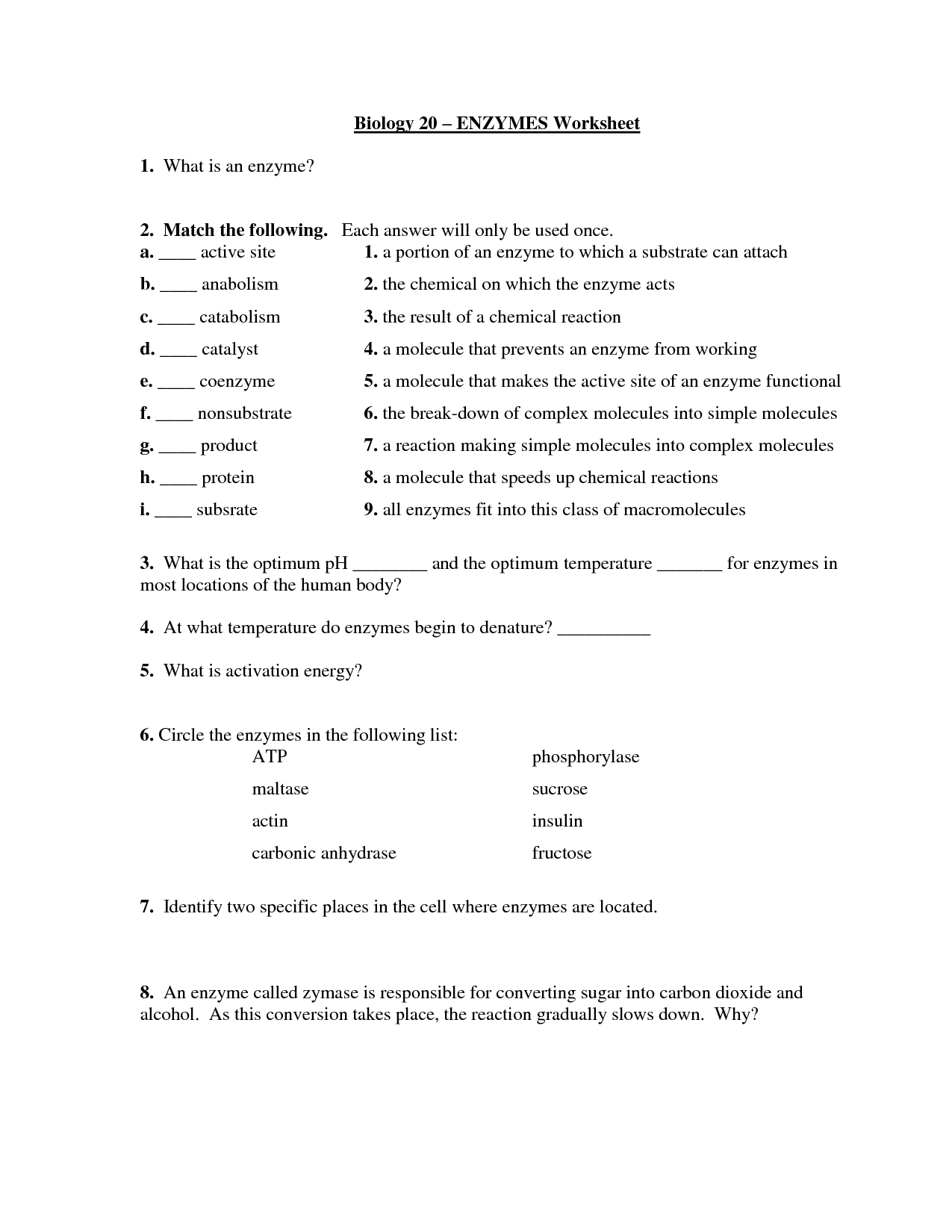 Biology Enzyme Worksheet High School