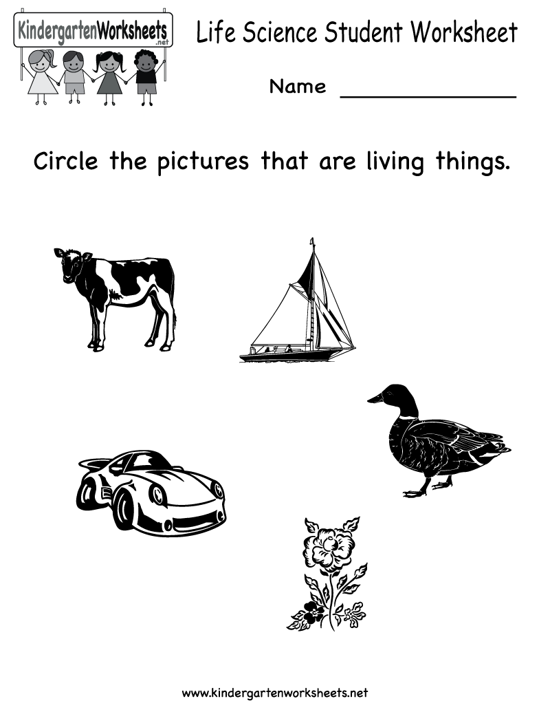 Printable Student Worksheets