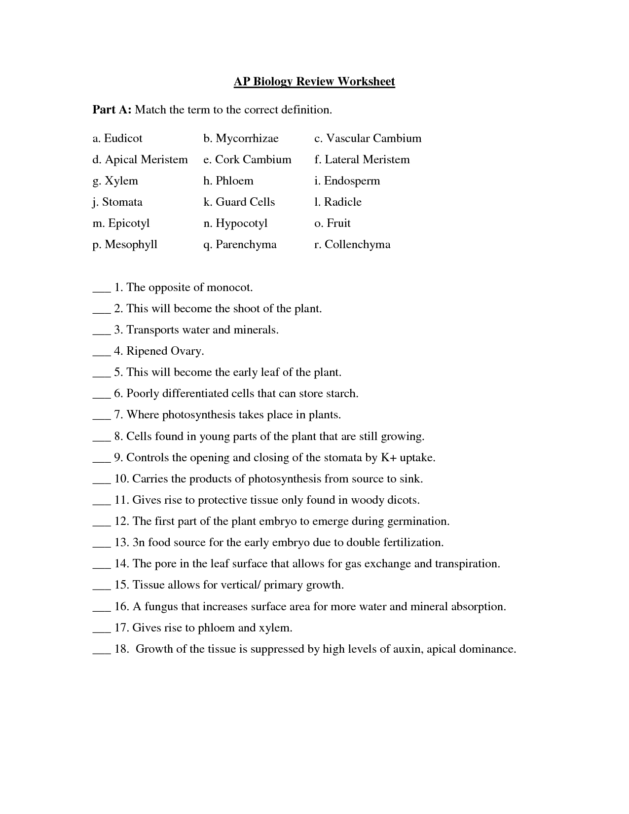 High School Biology Worksheets
