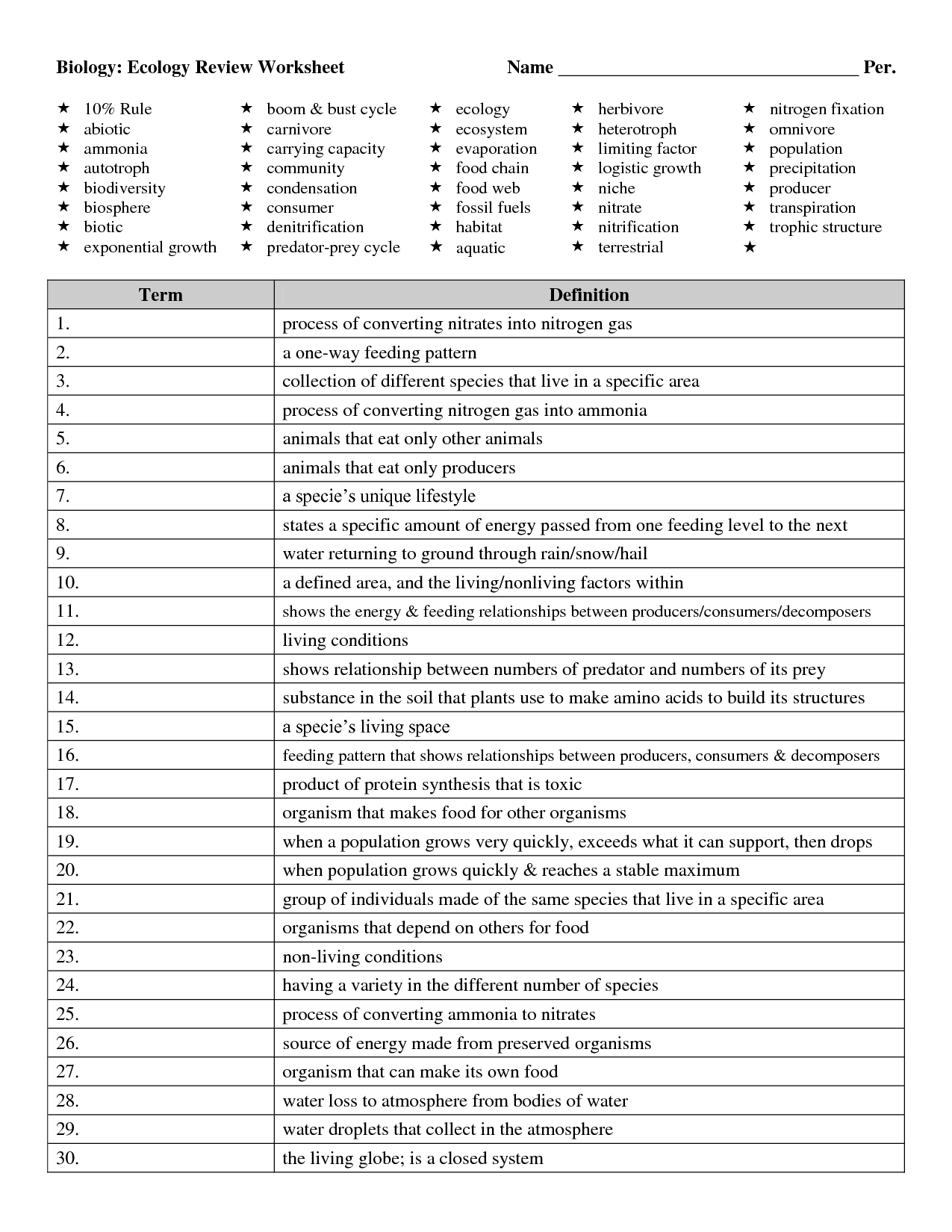 High School Food Chain Worksheet