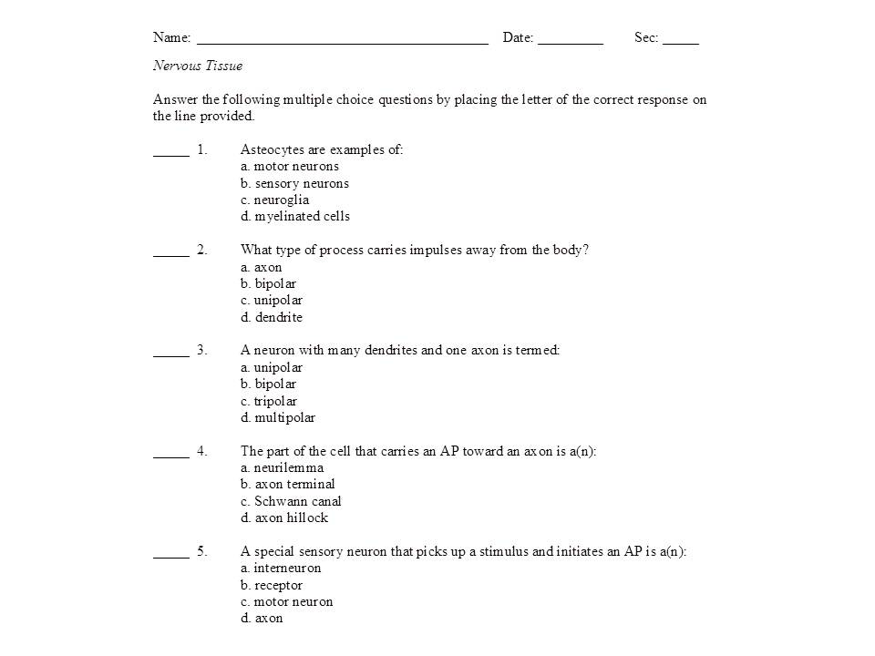 Nervous System Worksheet Answers Image