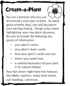 Science Plant Activities for 3rd Grade Image