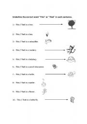 1st Grade English Worksheets