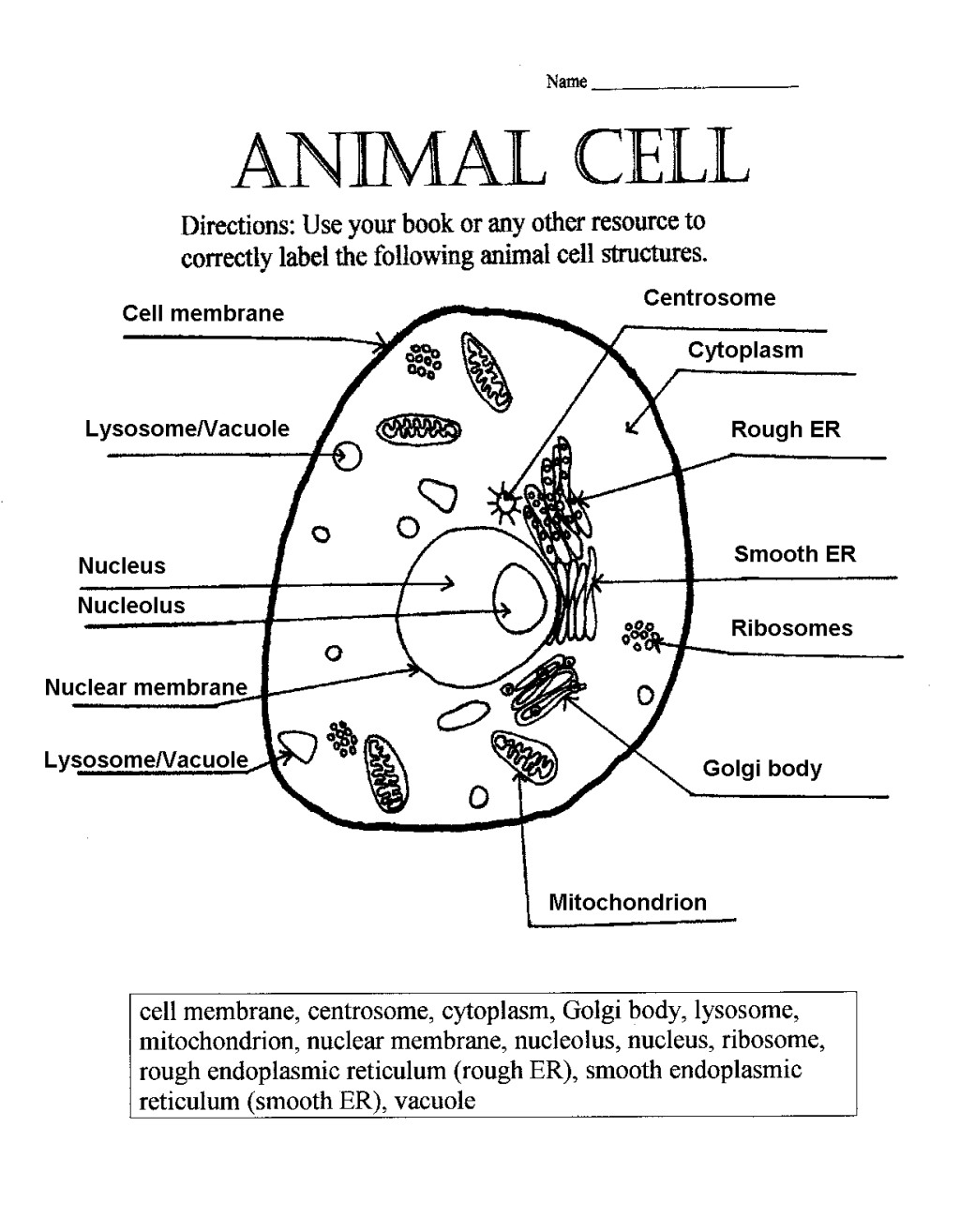Animal Cell Labeling Worksheet Answers