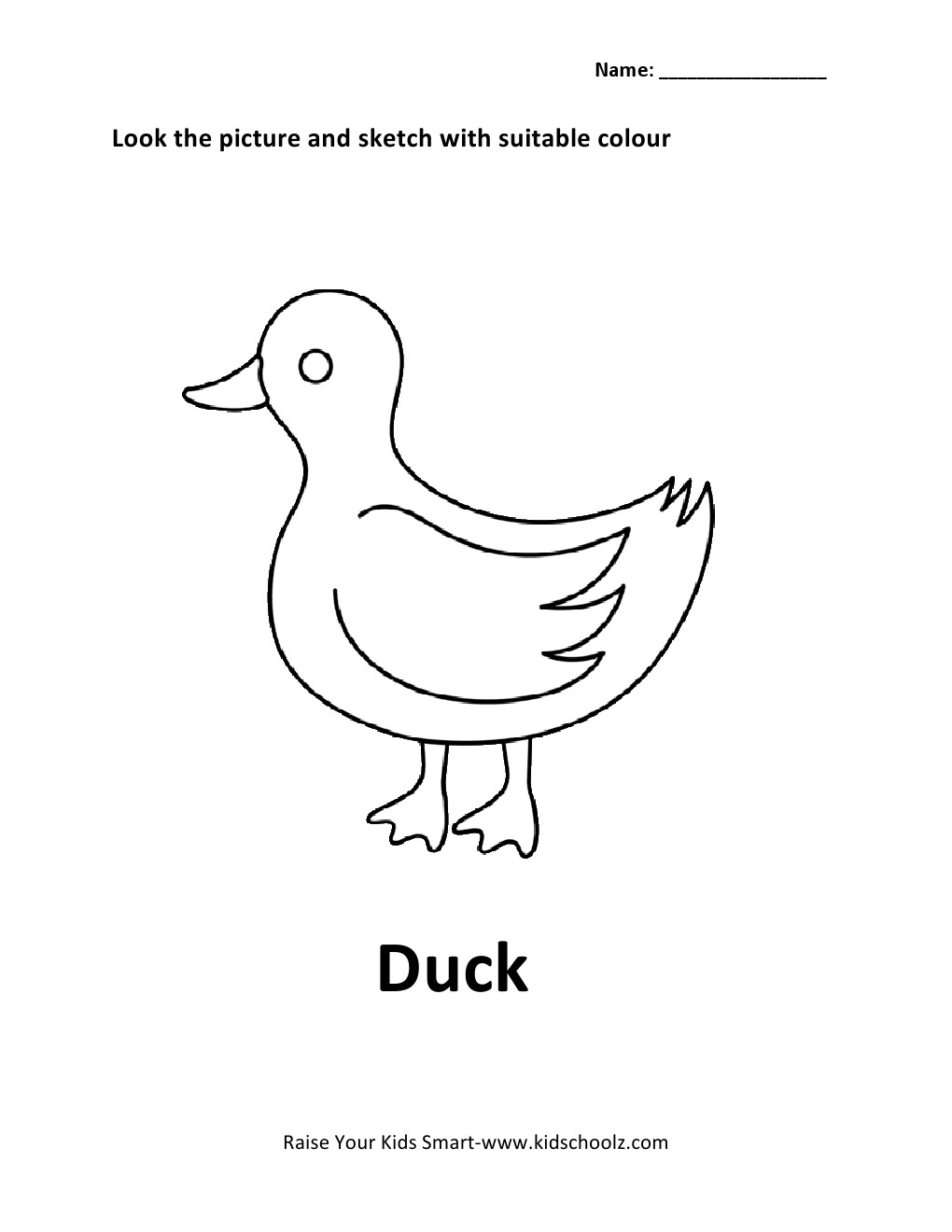 Birds Kindergarten Coloring Worksheet Image