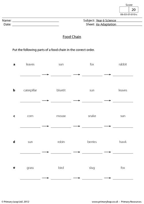 Food Chain Worksheets Image