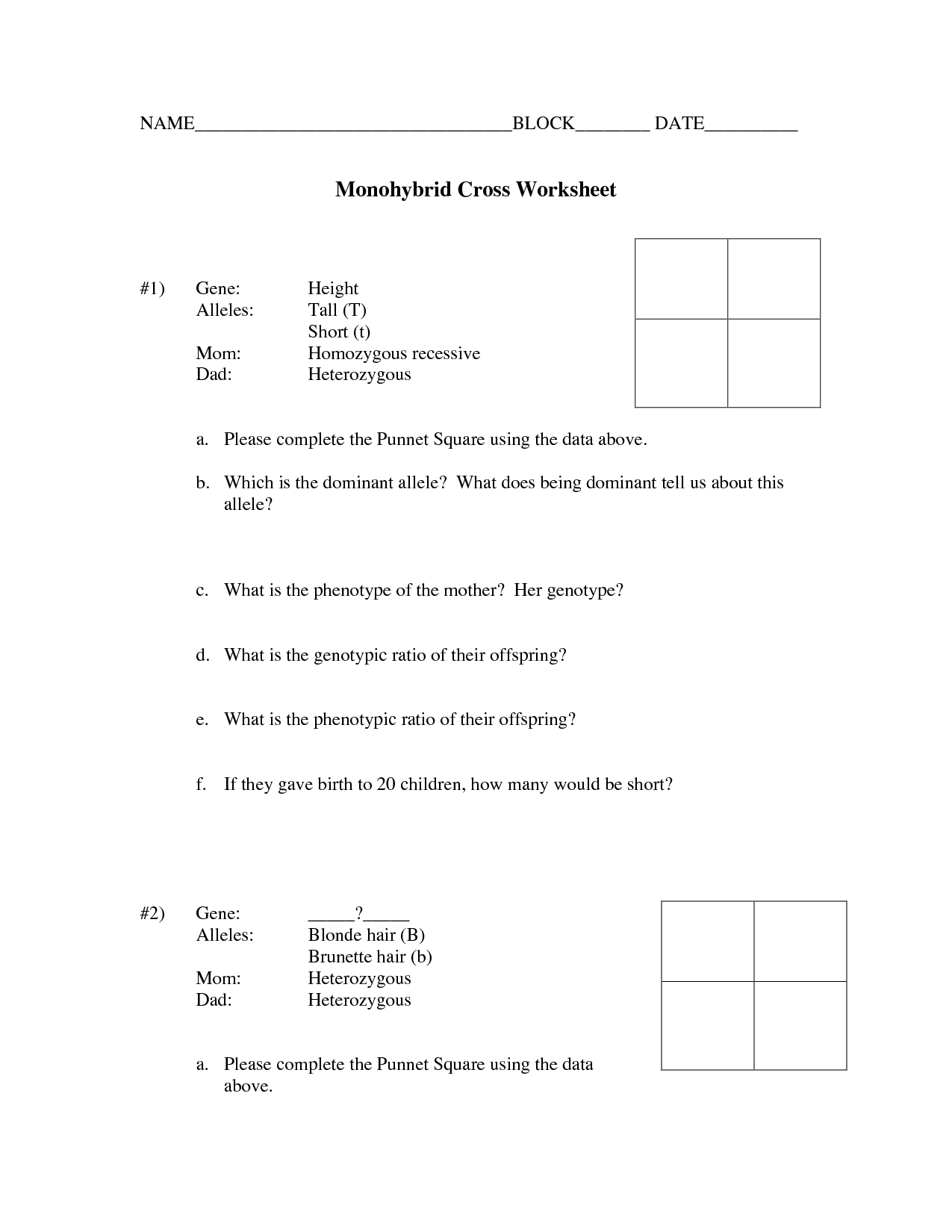 Monohybrid Cross Worksheet Answers Image