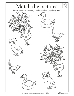 Preschool Bird Worksheets Image