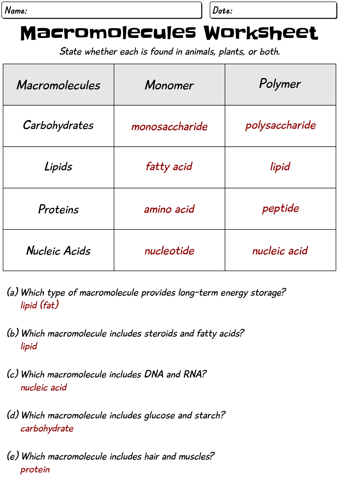 14 Biology Macromolecules Worksheets And Answers Worksheeto