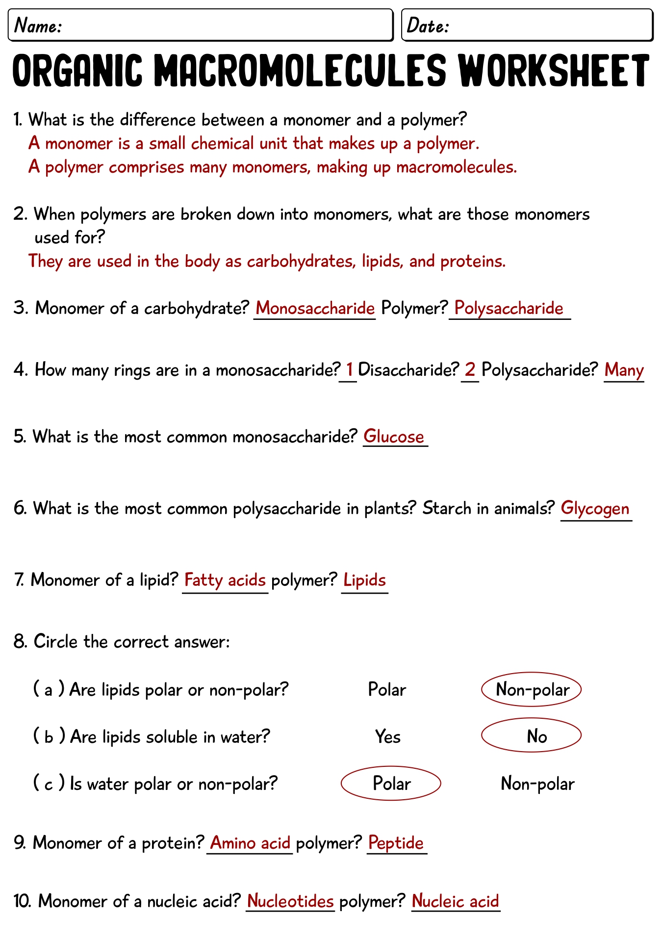 14-biology-macromolecules-worksheets-and-answers-worksheeto