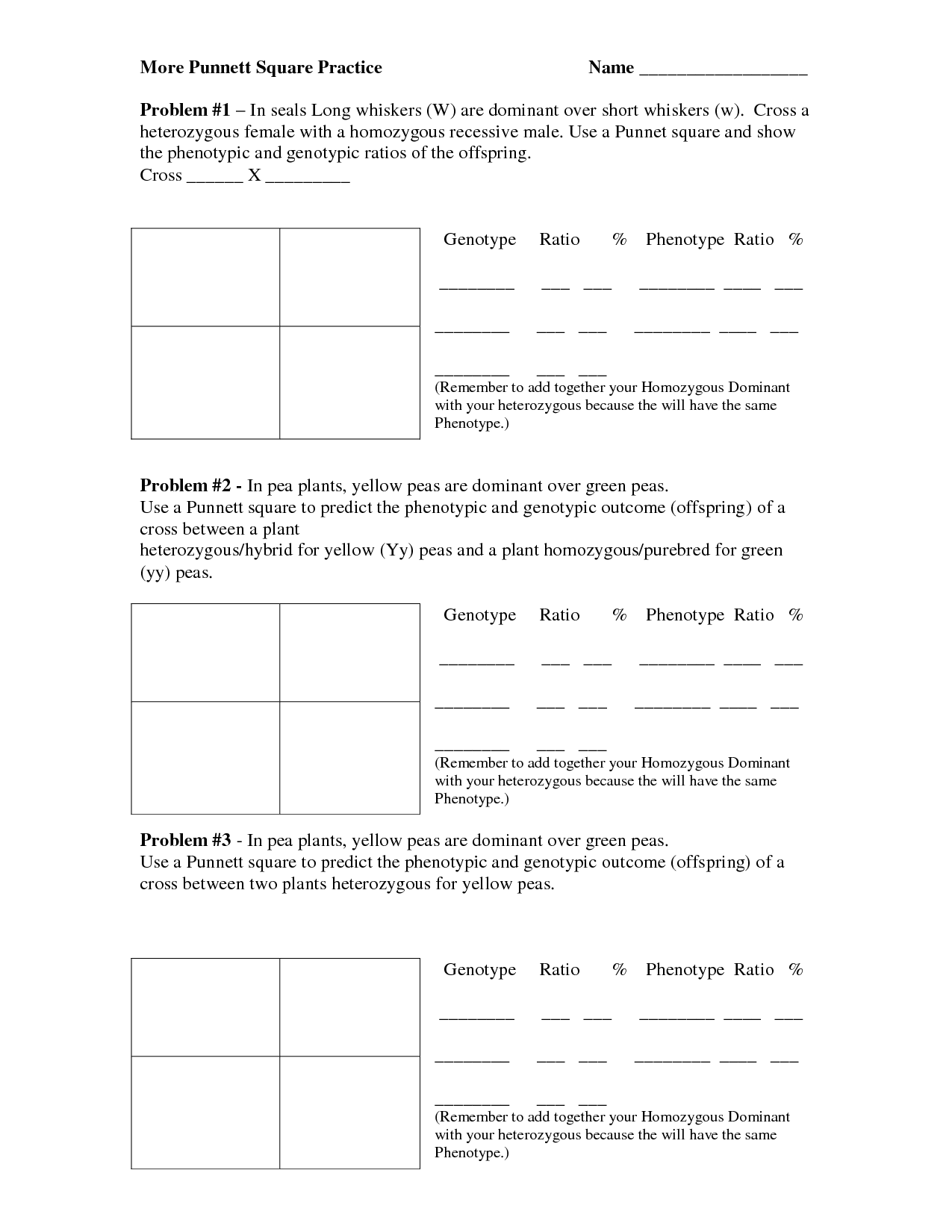 Punnett Square Practice Worksheet Answers Image