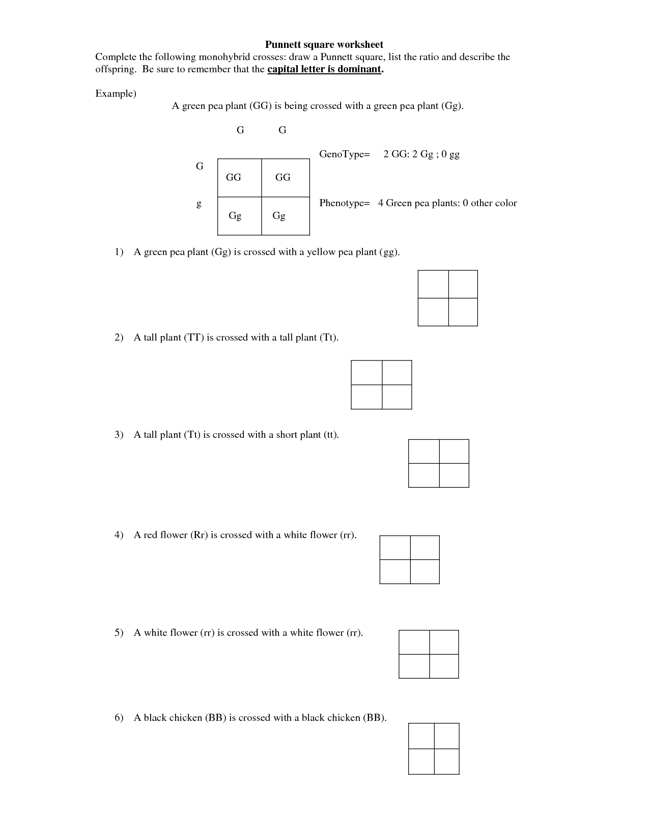 14-monohybrid-cross-worksheet-answer-key-worksheeto
