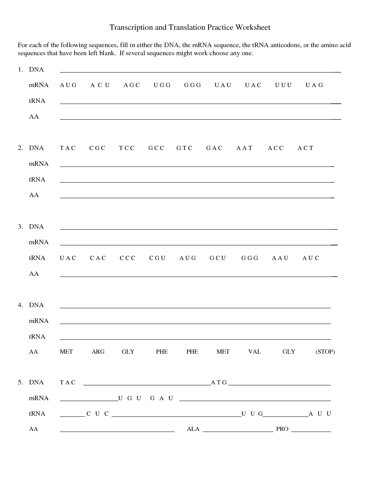Transcription and Translation Practice Worksheet Image