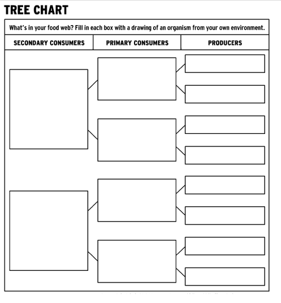 Brain Activity Worksheets for Middle School Image