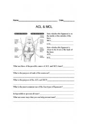18 Best Images of Middle School Health Worksheets - Human ...