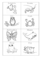 Land and Water Animals Worksheets Image