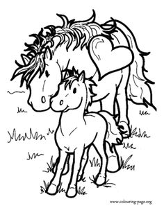 Mother and Baby Horse Coloring Pages Image
