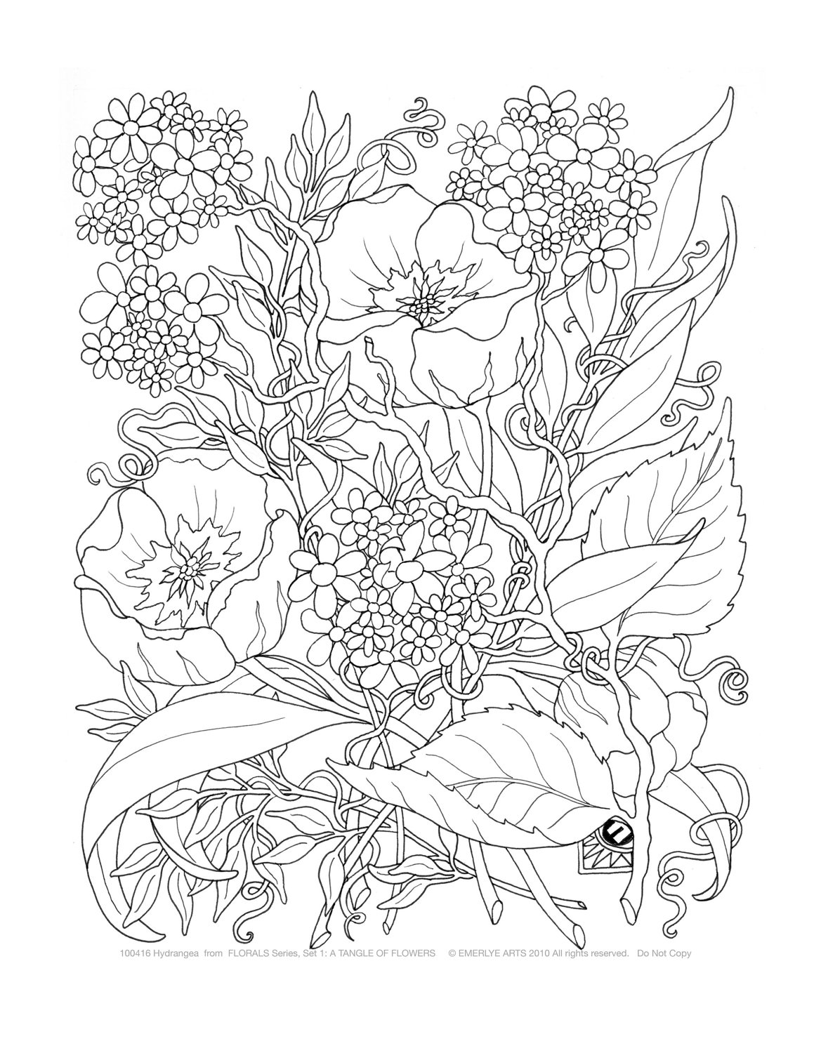 Printable Adult Coloring Pages Flowers Image