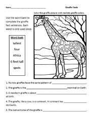 Worksheet About Giraffes Facts Image