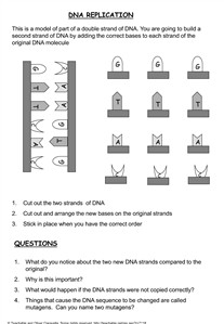 DNA and Replication Worksheet Image