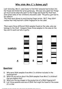 DNA Fingerprinting Biology Worksheet Answer