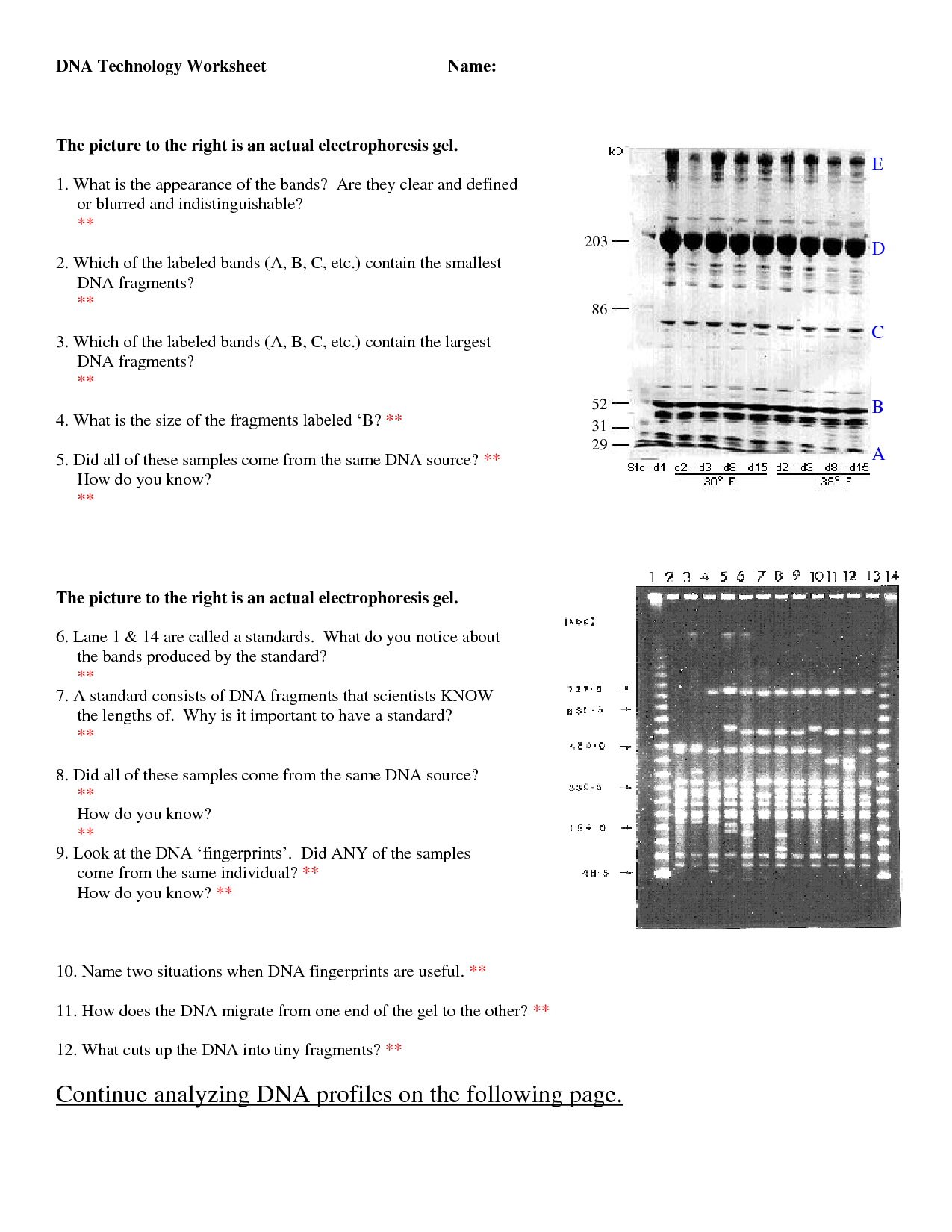 DNA Technology Worksheet Answers Image