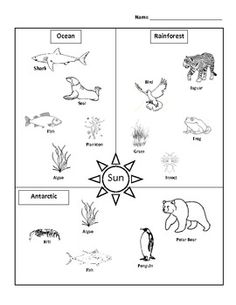 Food Chain Assessment Image