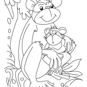 Baby Monkey Coloring Pages Image