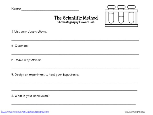 Middle School Science Lab Report Template Image