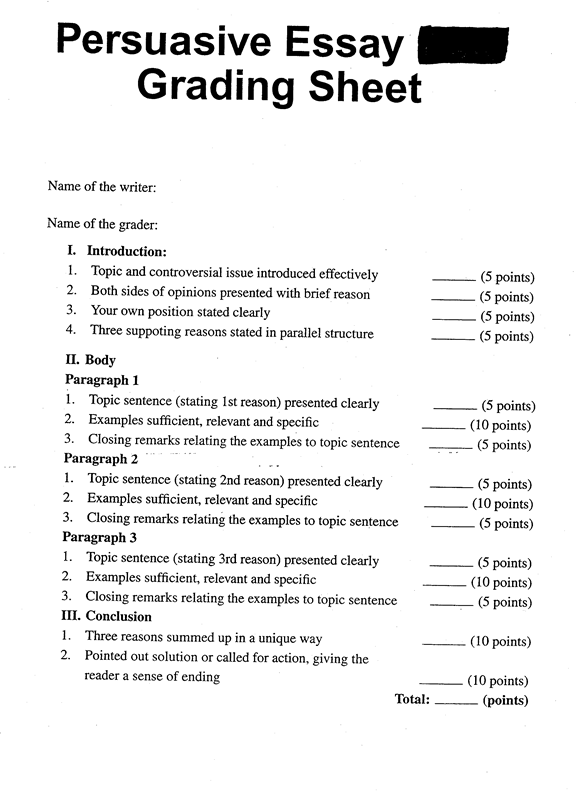 Persuasive Essay Format Example