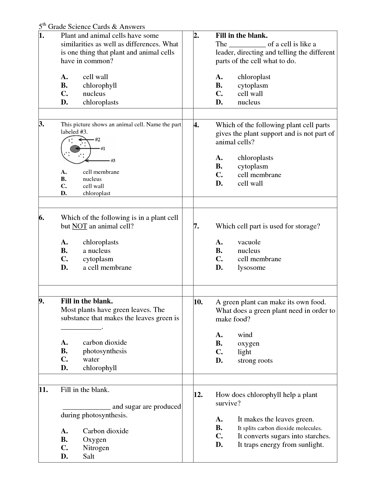 Plant and Animal Cell Worksheets 5th Grade