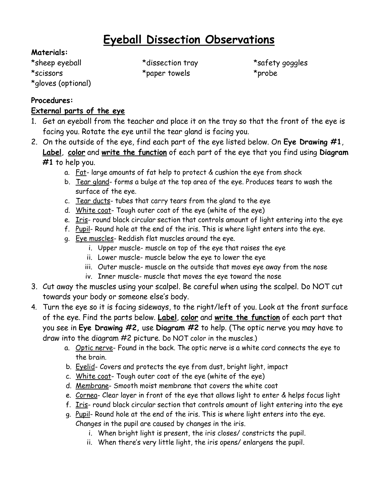 Eye Diagram Worksheet
