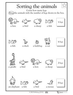 Kindergarten Math Worksheets Zoo Animals