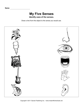 My Five Senses Printable Worksheets Image