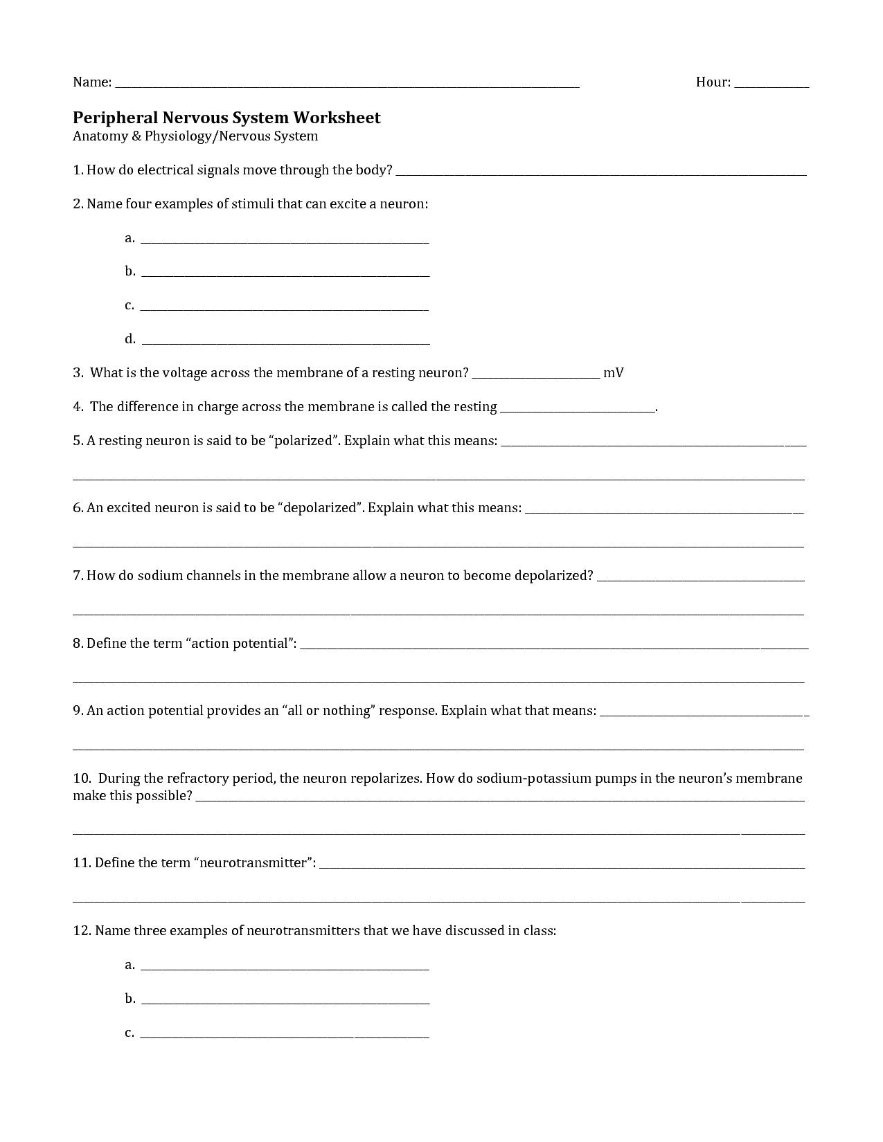 Nervous System Worksheet Answers