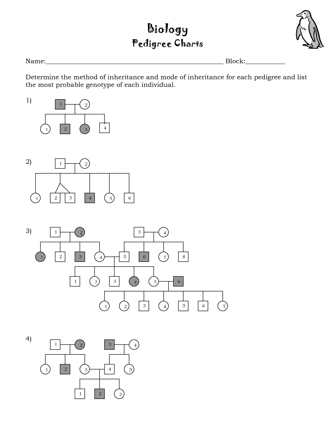 15-pedigree-worksheet-with-answer-key-worksheeto