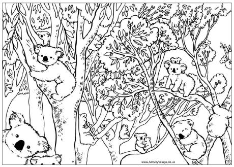 Australian Animals Colouring Pages Image