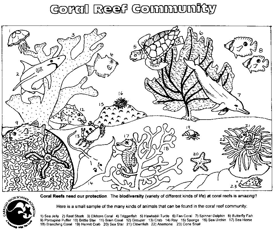 Coral Reef Community Coloring Pages Image