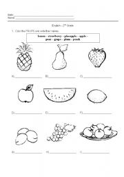 Fruit Vocabulary Worksheets Image