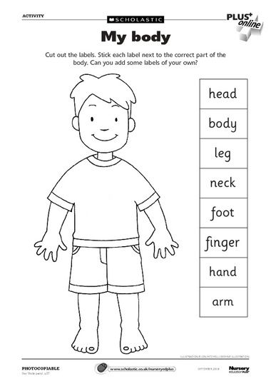Label Body Parts Worksheets Image